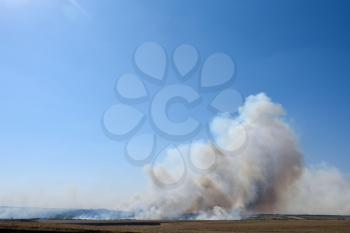 Big fire in the forest and in the field, thick smoke high in the sky.