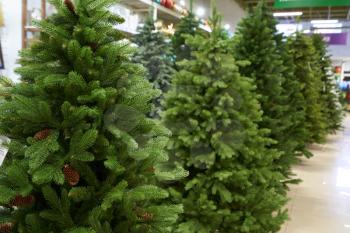 Sale of many artificial Christmas trees green a number in the pavilion of the store decor
