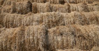 Texture of haystacks from round bales on a sunny day.