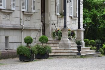 Beautiful shrub in planters in the shape of a ball next to the steps in front of a house in Europe
