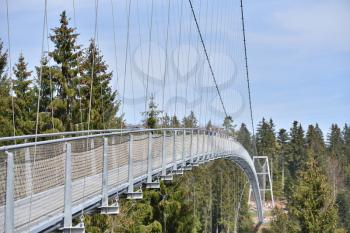 A long and narrow suspension iron bridge for pedestrian tourists in the coniferous forest.