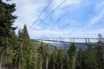 Beautiful landscape with a hanging iron bridge over a coniferous forest in Germany