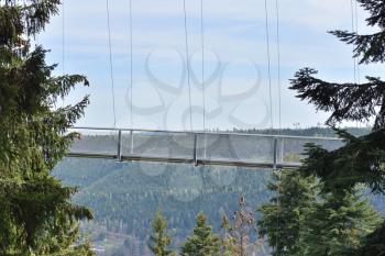 Beautiful landscape with a hanging iron bridge over a coniferous forest in Germany