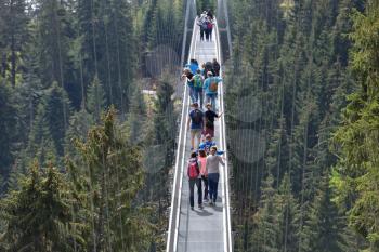 Tourists walk along a long and suspended iron cable bridge for pedestrians in the coniferous forest.