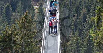 Tourists walk along a long and suspended iron cable bridge for pedestrians in the coniferous forest.