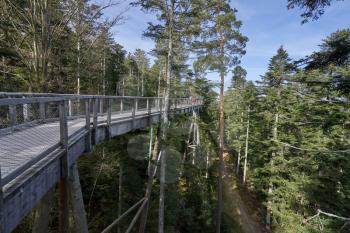 Narrow pedestrian walkway made of wood and metal mesh in the form of a bridge in the forest at high altitude.