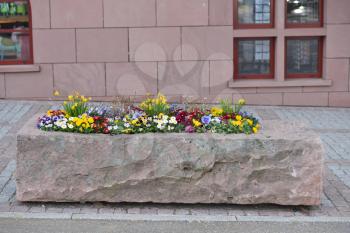 A large pot made of a piece of stone with various colors on the street of a European city. Flower bed in a pot of cut stone