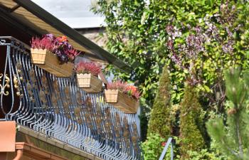 Balcony of a house with hanging flowers in flower pots