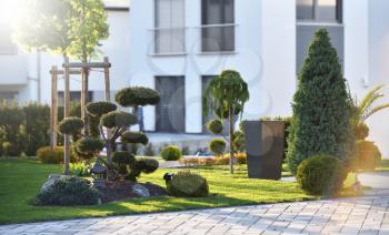 Beautiful modern flowerbed with coniferous bushes and a bonsai tree on the background of a modern house