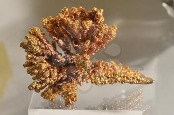 Nickel dendrites with gilding close-up. Precious natural resources