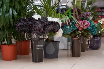 Artificial flowers are hydrangea in black, white, turquoise and crimson. Artificial flowers stand on a floor in a vase
