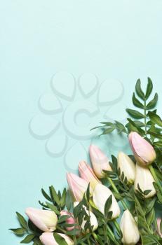 Pattern with text space and tulips on a mint background. Mothers Day or March 8 holidays concept.