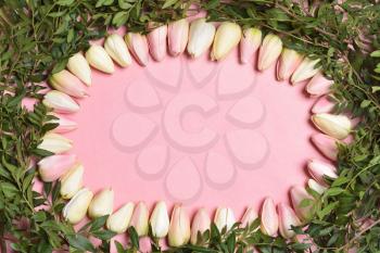 Oval frame of tulip flowers on a pink background, template with text space. Mothers Day or March 8 holidays concept.