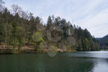 Spring forest on the background of a lake in the mountains of Schwarzwald