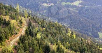 Picturesque landscape of a knurled road on a mountainside in the German forest Schwarzwald, overlooking the valley.