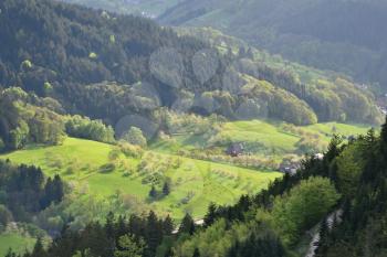 Picturesque European landscape with mixed coniferous and deciduous forest on a background of a mountain valley with houses in the forest Schwarzwald