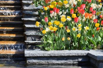 Beautiful flower bed Italian Slide with a waterfall, tulips and daffodils