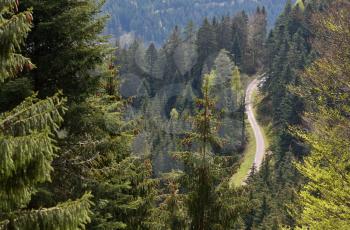 Narrow road with turns in the forest of the Schwarzwald, Germany.