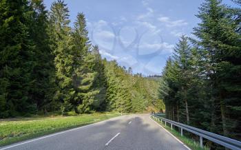 Beautiful spring landscape with a road between coniferous trees, sunny day and blue sky in the German forest Schwarzwald