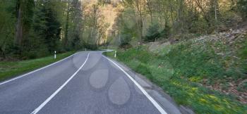 Dynamic shot of a road with bends through a forest in Germany
