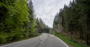 Asphalt road with turns through the coniferous forest of the Schwarzwald in Germany