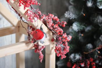 Christmas tree decorations, bullfinch bird hanging on a rowan branch