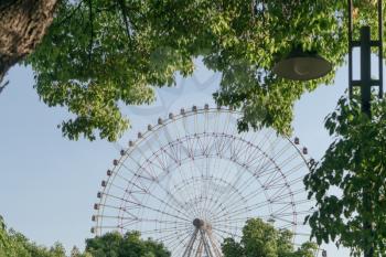 The ferris wheel and trees in a sunny day. Photo in Suzhou, China.
