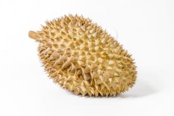 Single durian on the white background, still life photography.