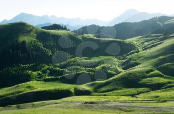 The vast grassland with fine day. Shot in xinjiang, China.