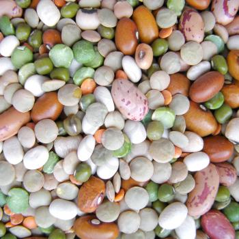 A picture of Beans soup salad picture