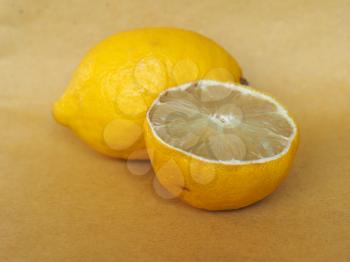 yellow lemon (Citrus x limon) whole fruit and sliced
