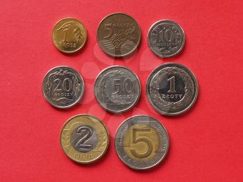 Polish Zloty coins money (PLN), currency of Poland
