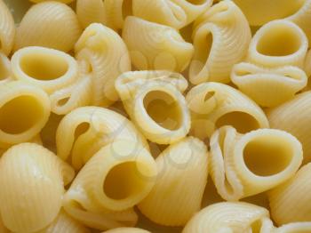 Snails macaroni pasta traditional mediterranean food from Italy