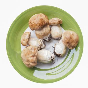 Boletus edulis aka penny bun or porcino mushroom in a dish isolated over white