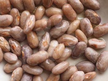 crimson beans variety of common bean (Phaseolus vulgaris) aka borlotti beans or cranberry beans legumes vegetables vegetarian food