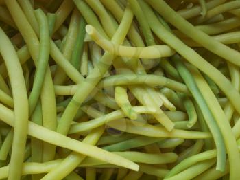 Green beans aka string beans or snap beans vegetables
