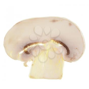 Sliced Agaricus bisporus aka champignons mushrooms isolated over white background