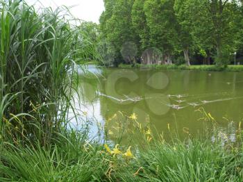 Pond in the Mittlerer Schlossgarten park in Stuttgart, Germany