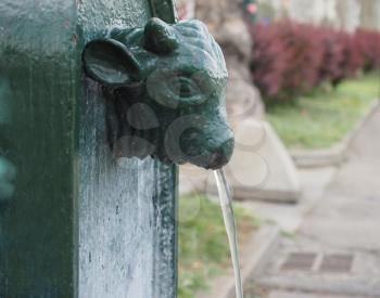 Toret (meaning little bull) drinking fountain in Turin, Italy
