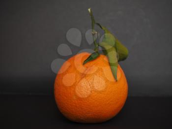 sweet orange (Citrus x sinensis) fruit vegetarian food
