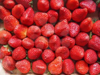 Strawberry fruit aka garden strawberry or fragaria