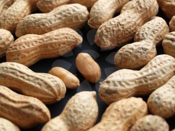 Peanut dry fruit or groundnut (Arachis hypogaea) beans - useful as a background