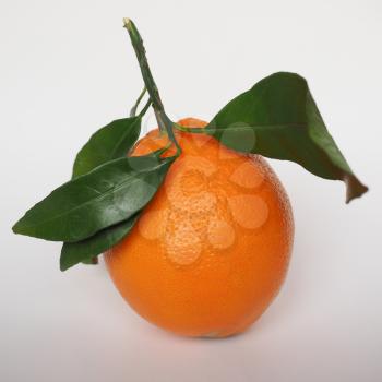 Sweet orange (Citrus x sinensis)  fruit vegetarian food