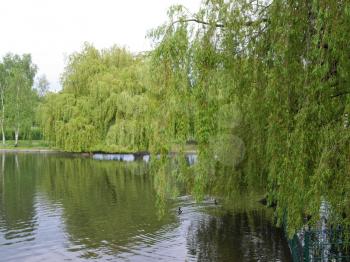 Regent's Park landscape in London, England, UK