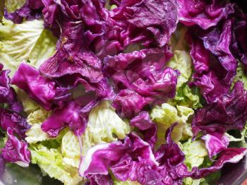 red and green cabbage (Brassica oleracea) vegetables vegetarian and vegan food
