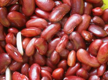 Kidney beans variety of common bean (Phaseolus vulgaris) legumes vegetables vegetarian food