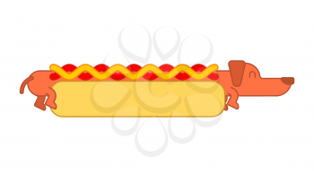 Hot dog dachshund and bun. Ketchup and mustard. Fast food pet
