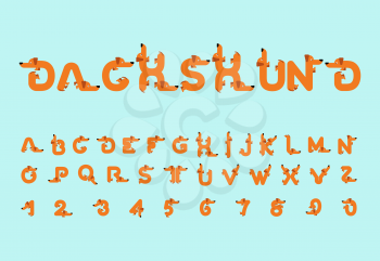 Dachshund font. Dog alphabet. Lettering home animal. ABC pet 