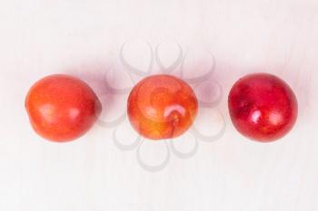 Red plum fruit on the white background isolated top view