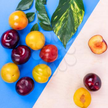 Colorful plum fruits on the colorful background top view